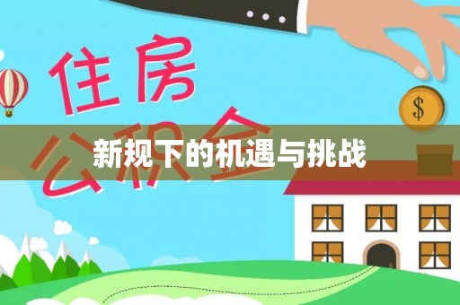 桥西新规下的机遇与挑战