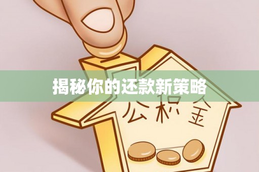 桥西揭秘你的还款新策略