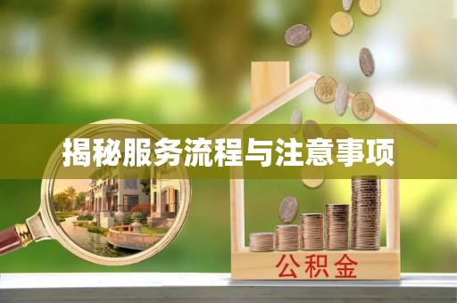桥西揭秘服务流程与注意事项