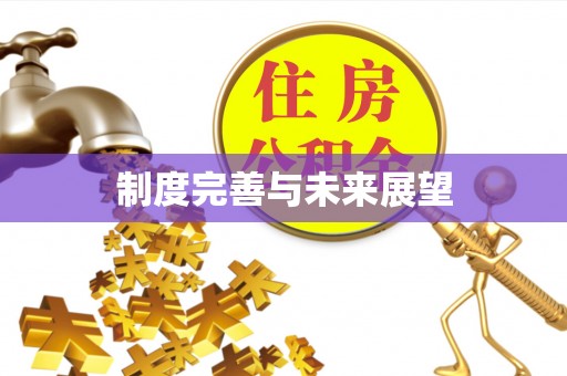 桥西制度完善与未来展望