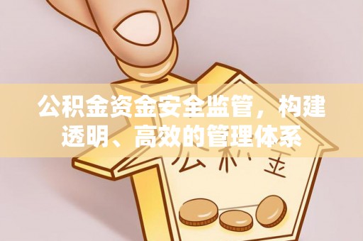 桥西公积金资金安全监管，构建透明、高效的管理体系