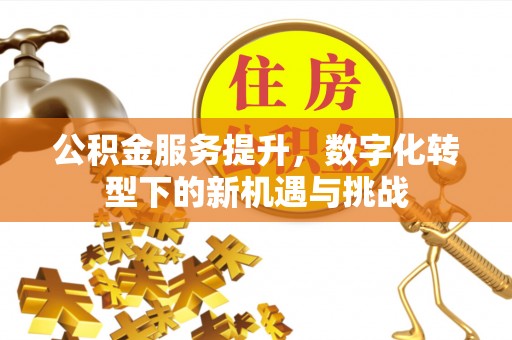 桥西公积金服务提升，数字化转型下的新机遇与挑战