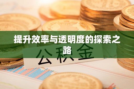 桥西提升效率与透明度的探索之路