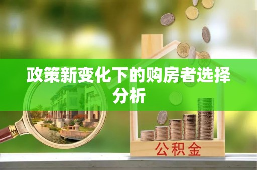 桥西政策新变化下的购房者选择分析