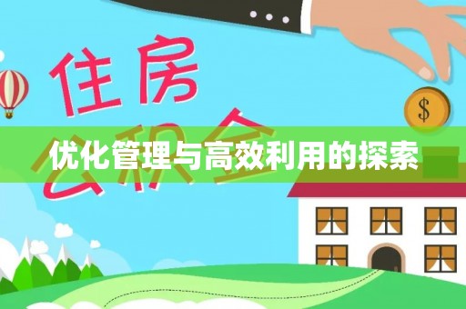 桥西优化管理与高效利用的探索