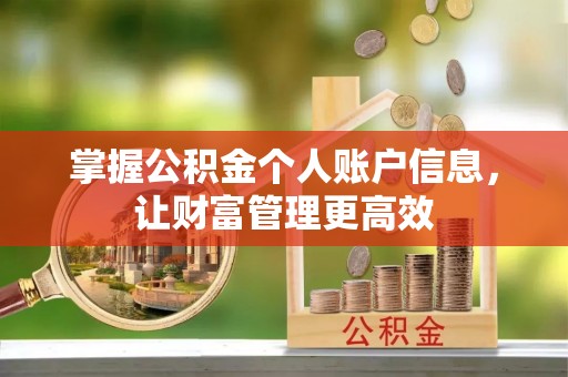桥西掌握公积金个人账户信息，让财富管理更高效