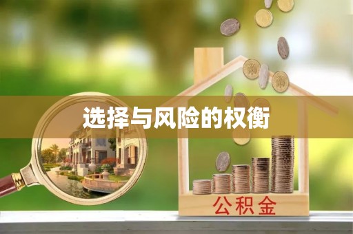 桥西选择与风险的权衡