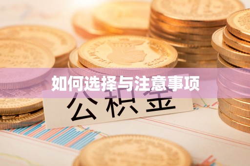 桥西如何选择与注意事项