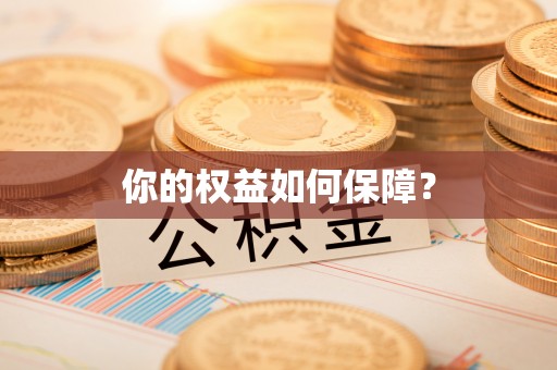 桥西你的权益如何保障？