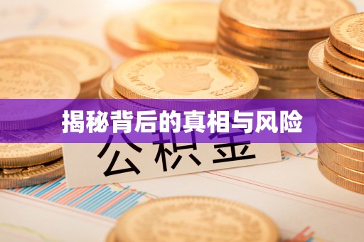 桥西揭秘背后的真相与风险