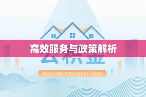 桥西高效服务与政策解析