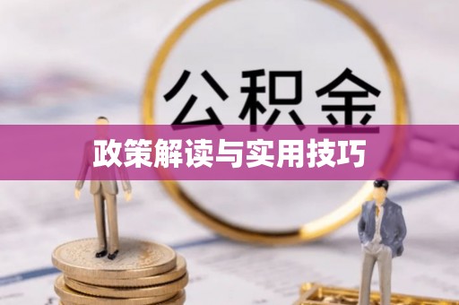 桥西政策解读与实用技巧