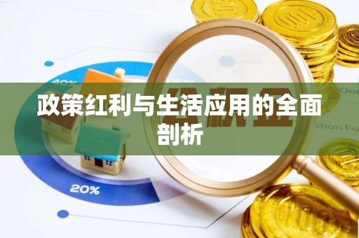 桥西政策红利与生活应用的全面剖析