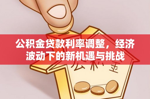 桥西公积金贷款利率调整，经济波动下的新机遇与挑战
