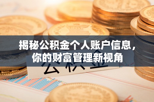 桥西揭秘公积金个人账户信息，你的财富管理新视角