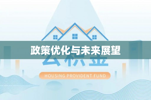 桥西政策优化与未来展望