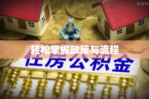 桥西轻松掌握政策与流程